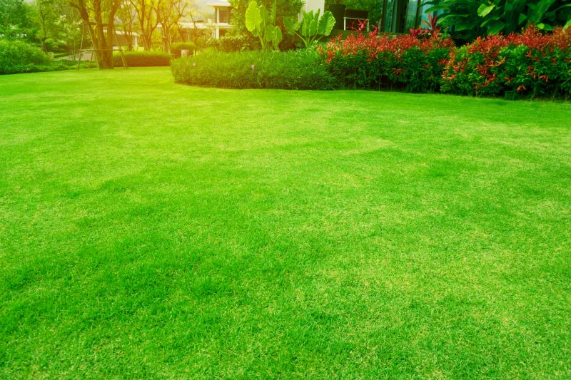 Lush Green Turf