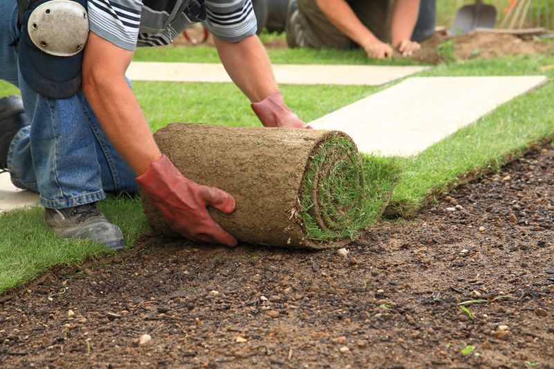 Ryegrass Sod Installation in Honolulu, HI