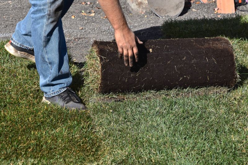 Sod Laying on a Large Area