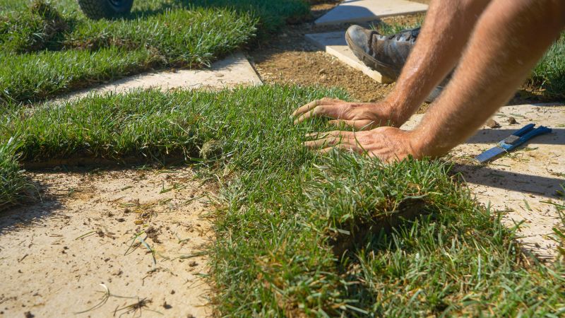 Lawn Repair with Sod