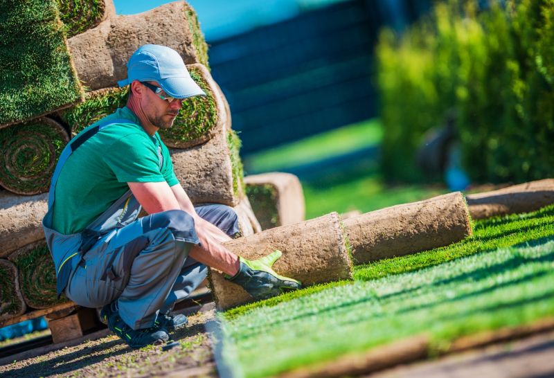 Fresh Turf Installation Service