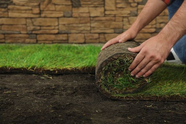 New Sod Installation